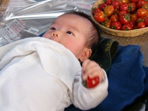 美味しいもの、安全なもの、ますます貴重なものになってきています