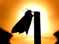 第２４回 心の目で聴いてってば！