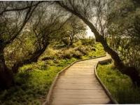 第２６回 女たちが祈ってきた道