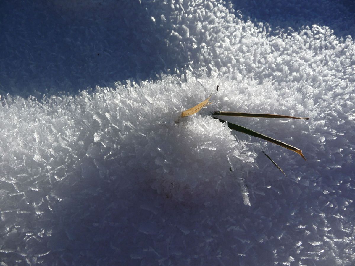 もう偽りたくない