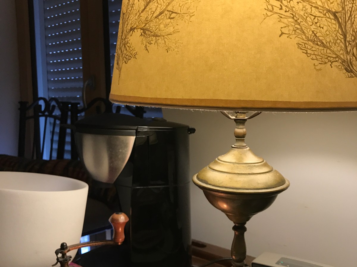 万能な海の恵み